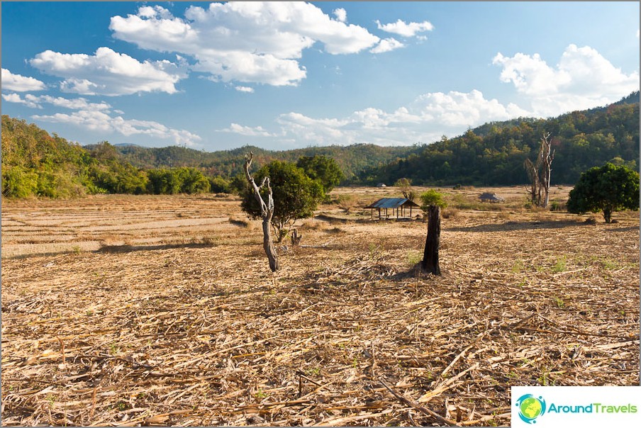 Paisagens rurais da Tailândia