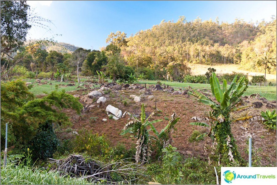 Rural landscapes of Thailand