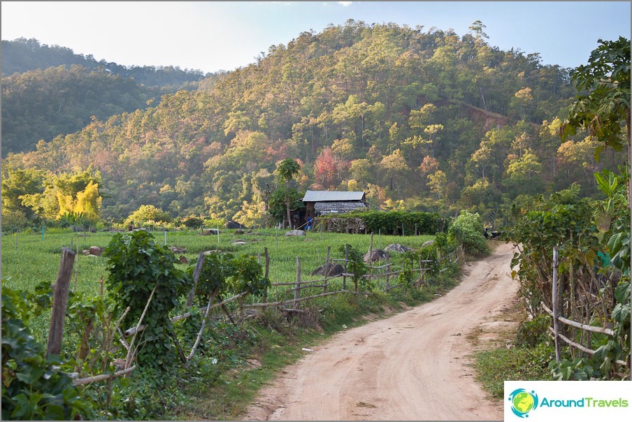 La strada sta peggiorando