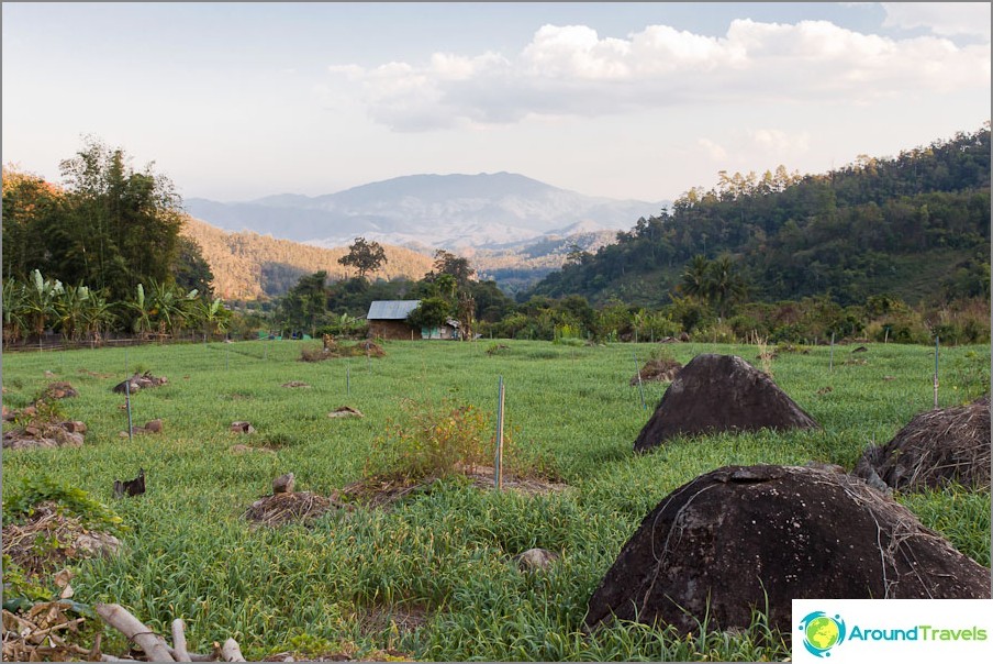 Rural landscapes of Thailand