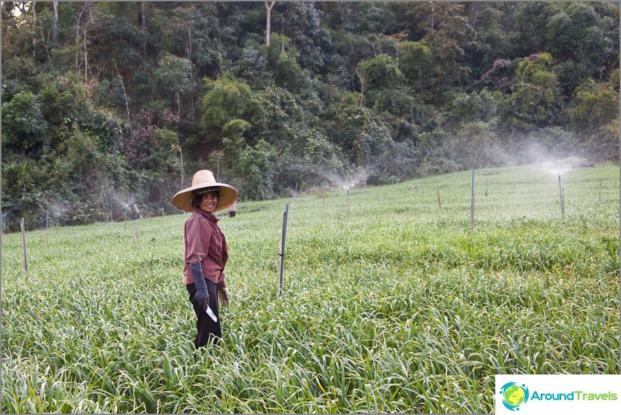 Thaïs au travail, et comme toujours souriant