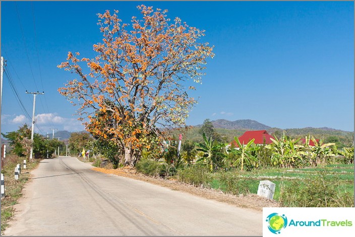 Straßen nach Pai