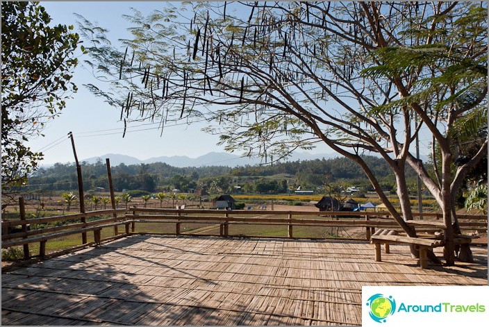 Bamboo platforms