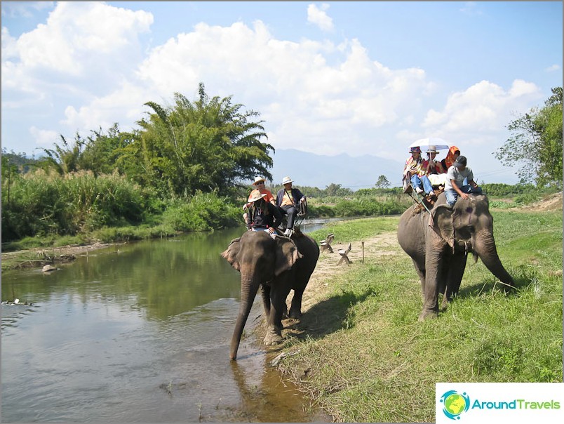 Rijd dus op een olifant met een zadelzitting