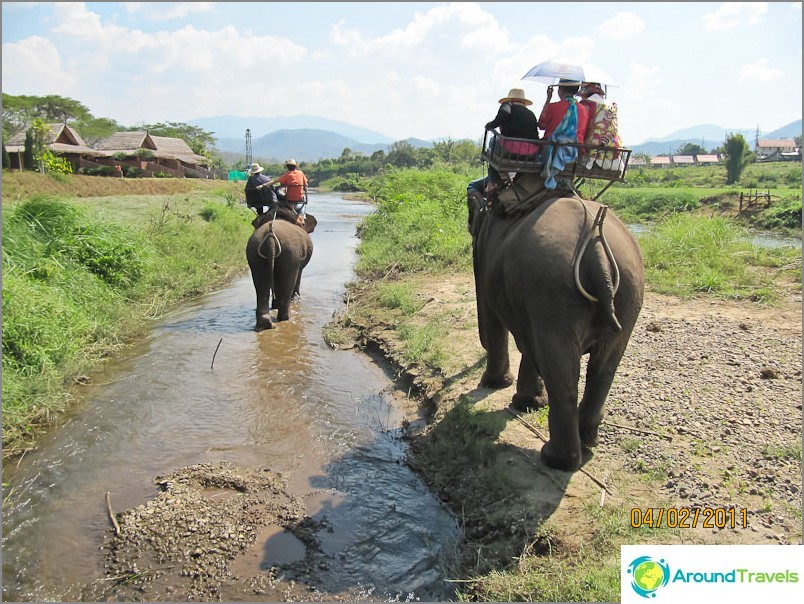 Então monte em um elefante com um assento de sela