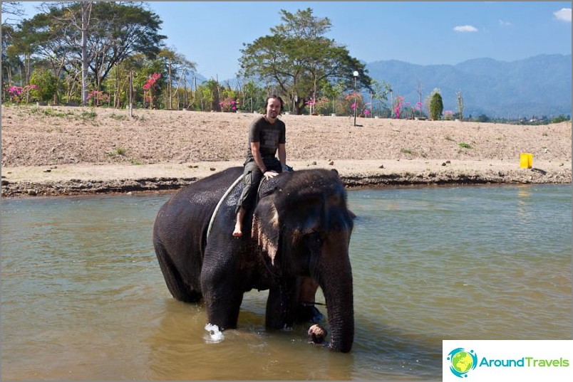 Elefante montando en Tailandia