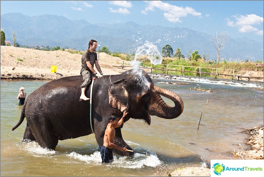 Elephant riding and bathing succeeded, it's time to go home