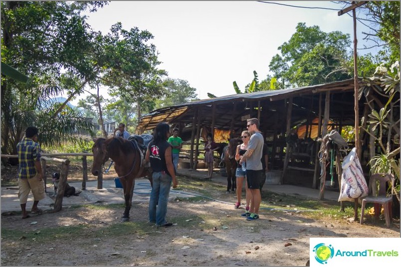 Horse riding