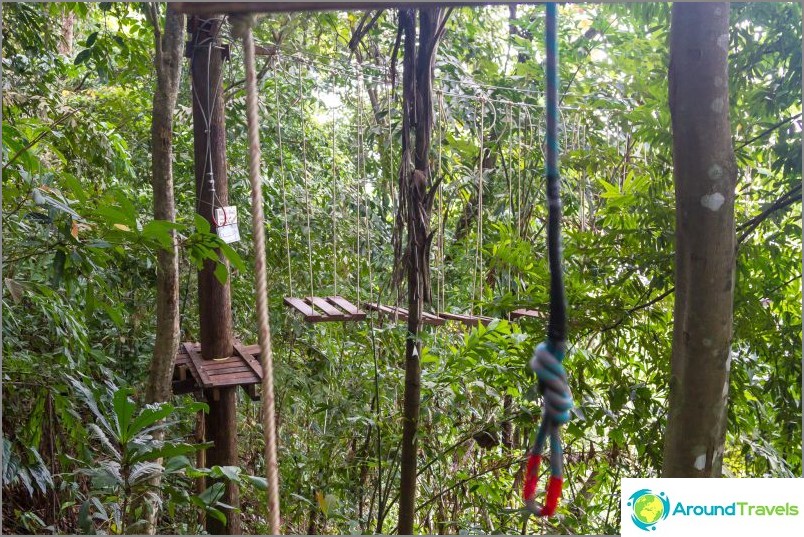 Rope park tree top adventure