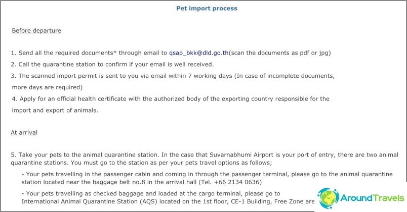 To Thailand with a dog or cat - transportation of animals abroad
