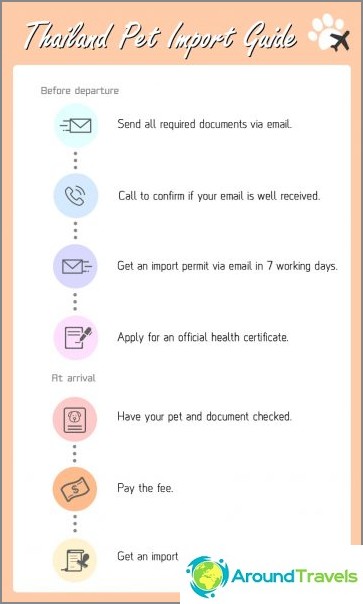 В Тайланд с куче или котка - превоз на животни в чужбина