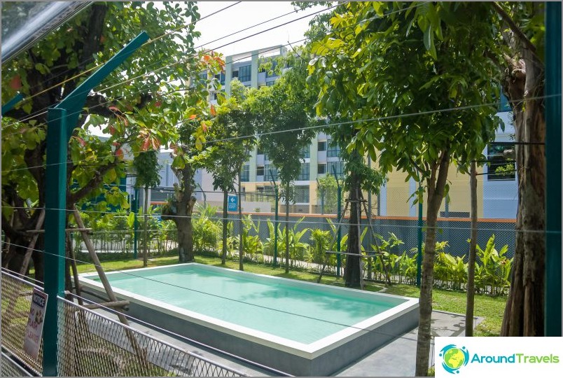 Piscina no recinto para filhotes de tigre