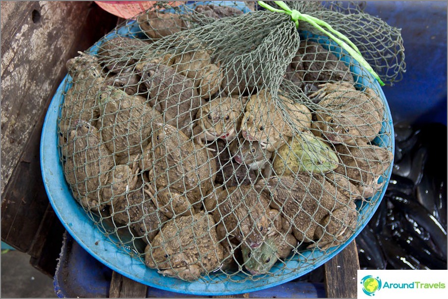 Não compramos sapos no mercado