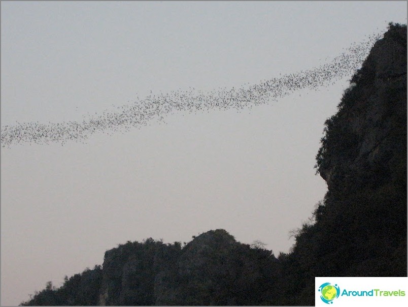 Bat cave in the vicinity of Hua Hin