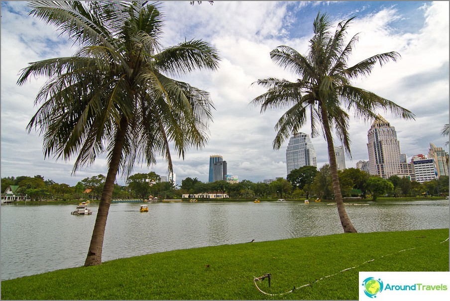 A green oasis in the center of a metropolis