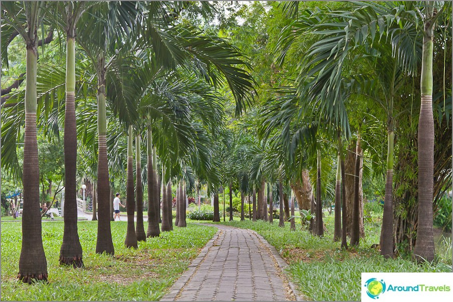 Beco das palmeiras em Lumpini Park