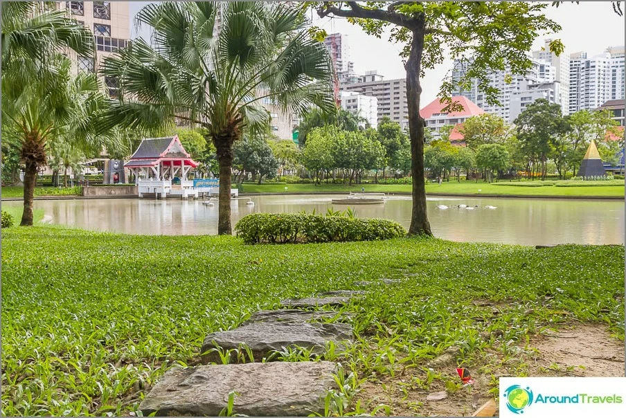 A pond in the center of the park