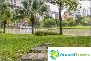 A pond in the center of the park