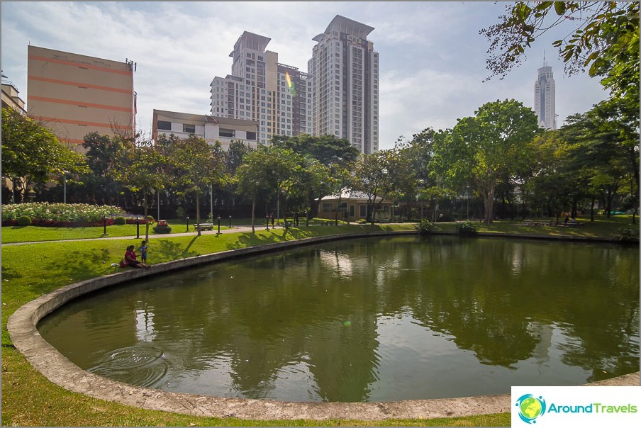 Ponds in the center of the park