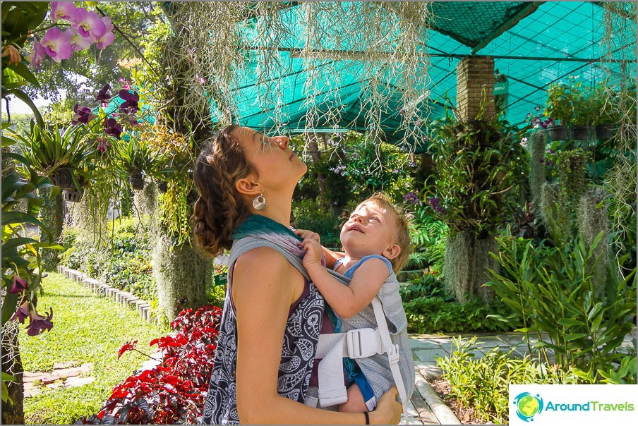 Familia mea în parc