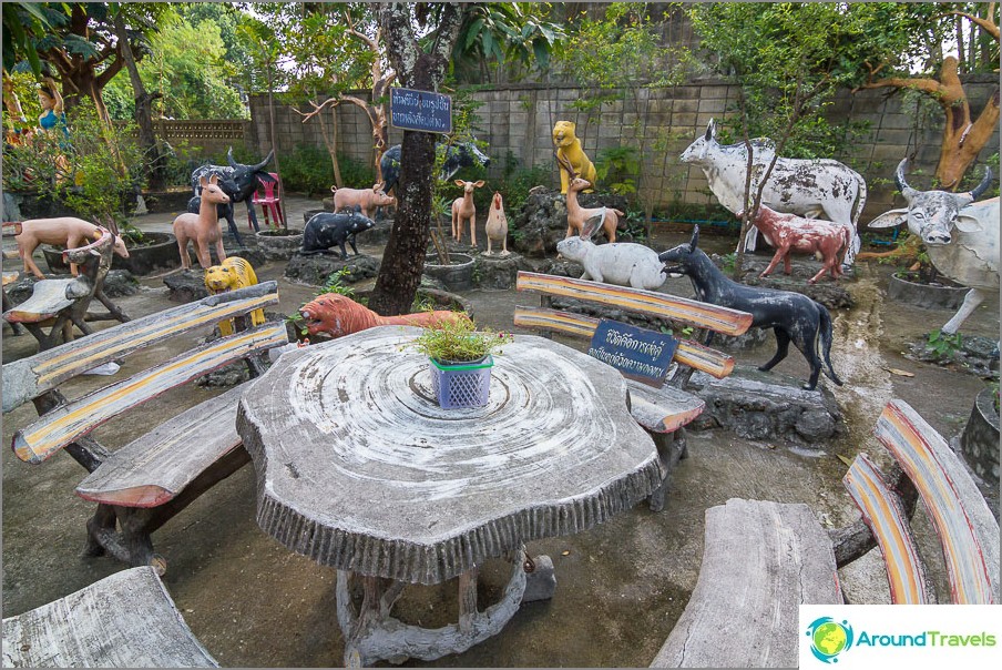 You can relax and sit next to the paradise animals