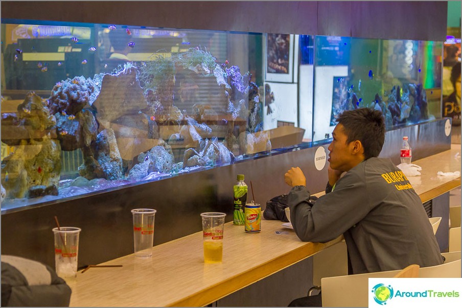 At Laemtong Mall you can eat and stick to the aquarium