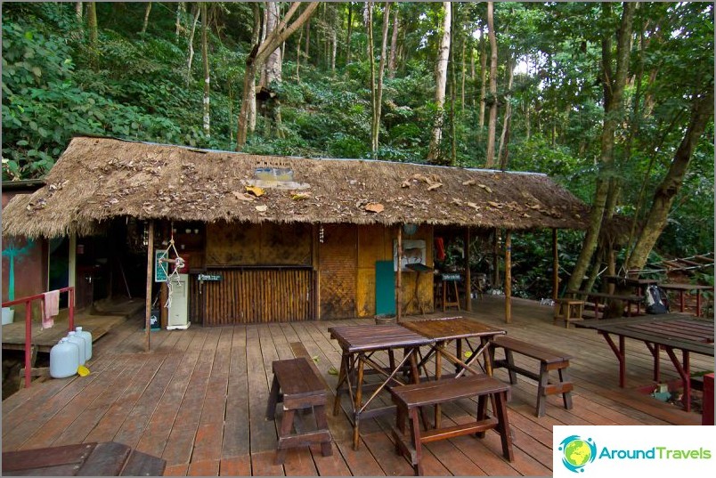 Tree Top Adventure Park, odkud to všechno začíná