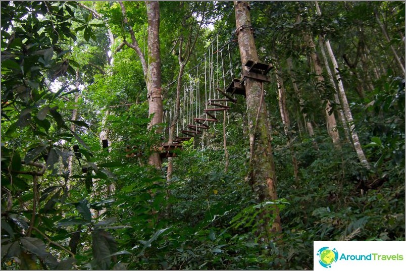 Tree Top Adventure Park'taki parkurlardan biri