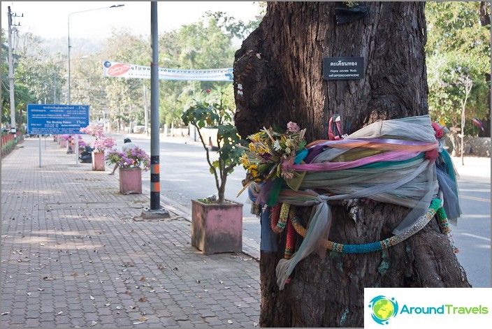 Huay Kaew Street w Chiang Mai