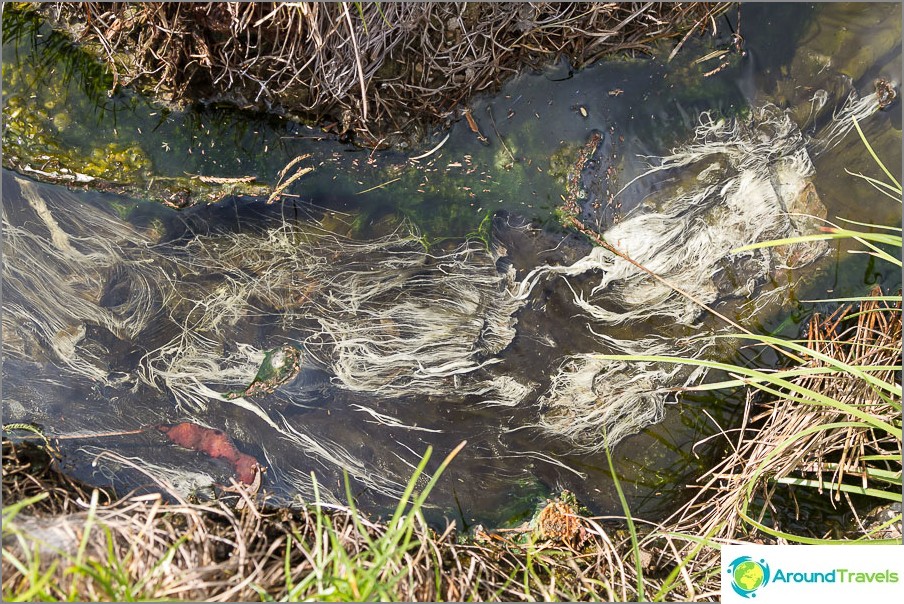 Une telle eau coule à travers les fossés, chaude!