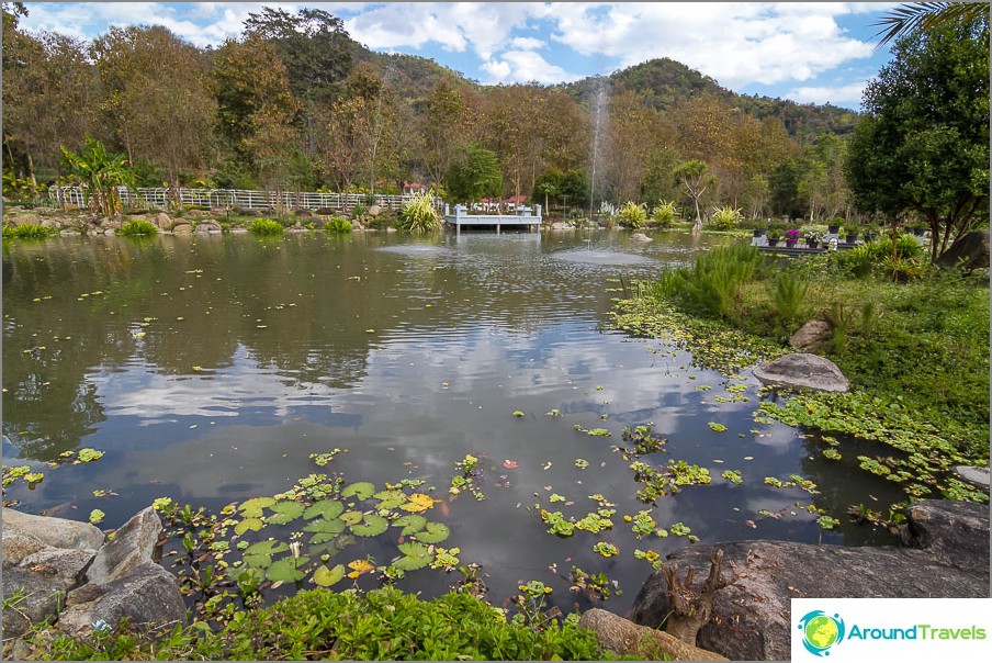 Pond in the National Park