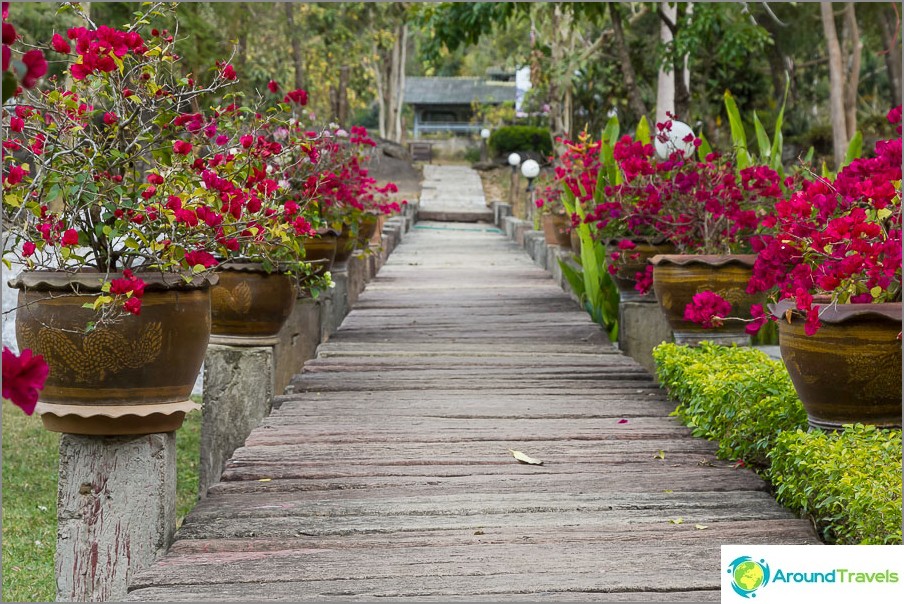 Beautiful paths in the national park