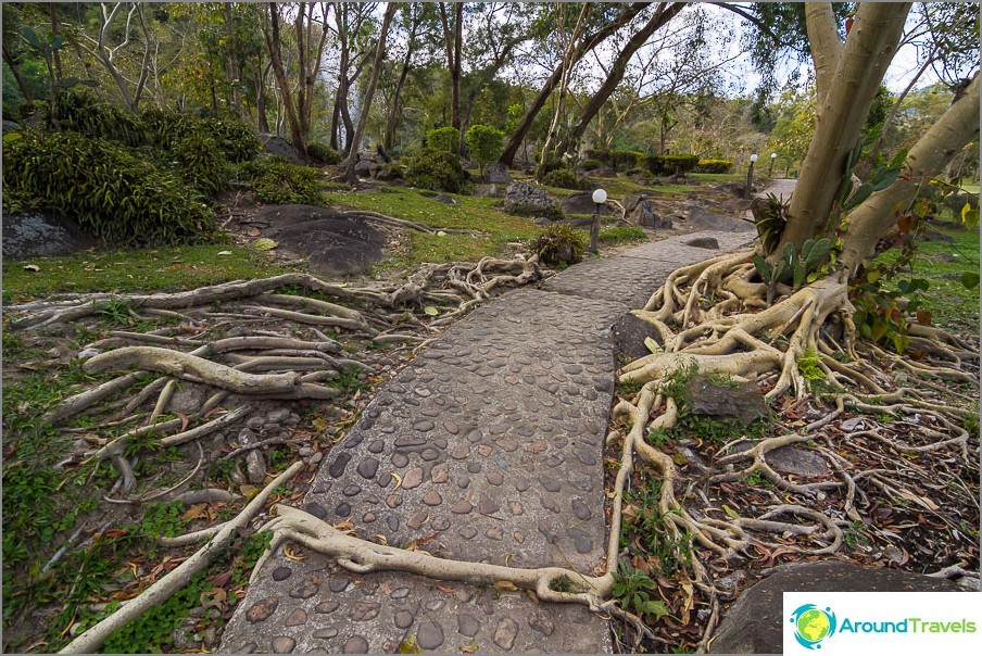 Beautiful paths in the national park