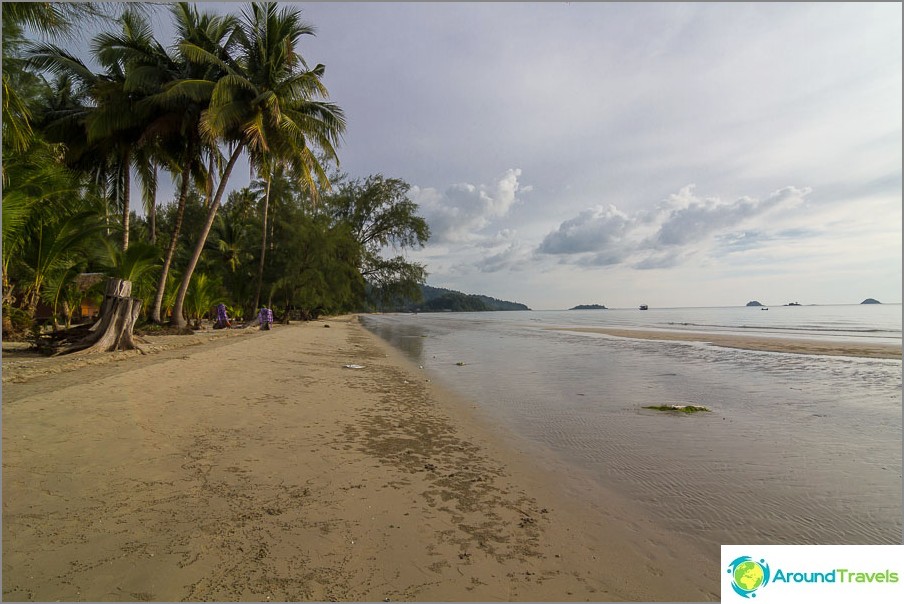 Klong Prao in the palm forest area