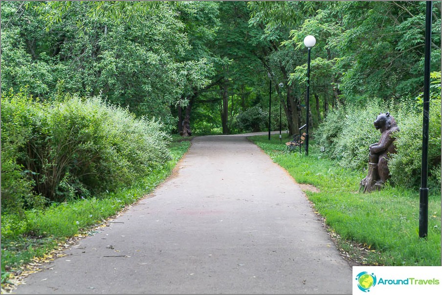 Arboretum paths