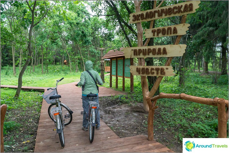 Стежка для дітей (але там потрібен ведучий і різні предмети)