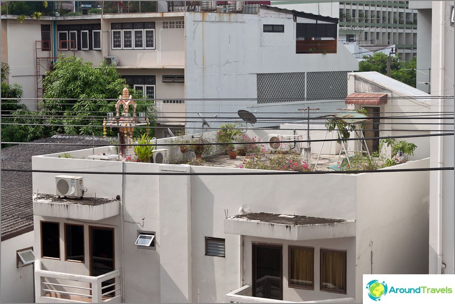 Your own roof garden