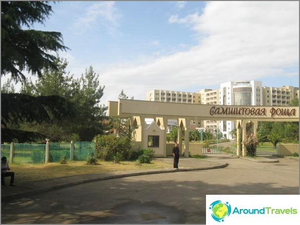 Abkhazia. Pension Boxwood Grove.