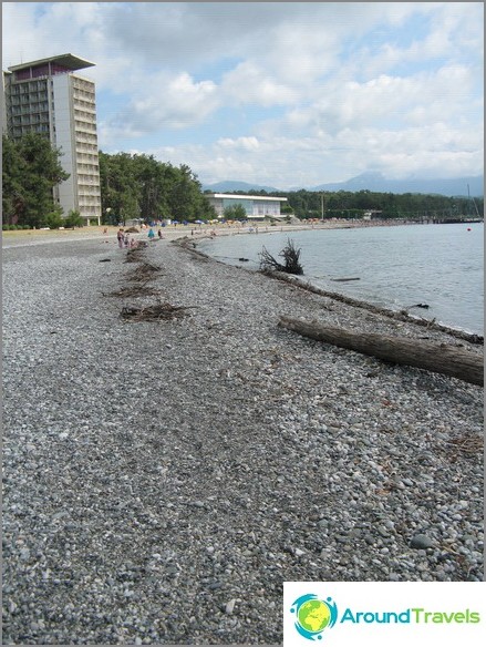 Abkhazia. Pitsunda.