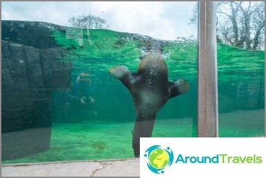 Zoo in Prague - 3 hours of fun in winter and summer, all information