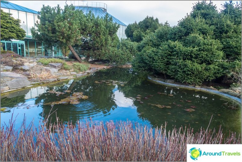 Jardim Botânico Liberec - beleza para qualquer clima