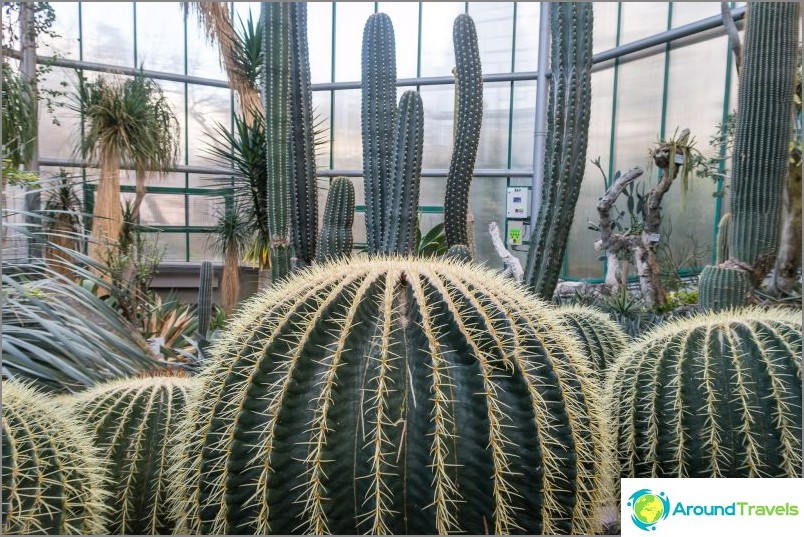 Liberec botaniske have - skønhed i hele vejret