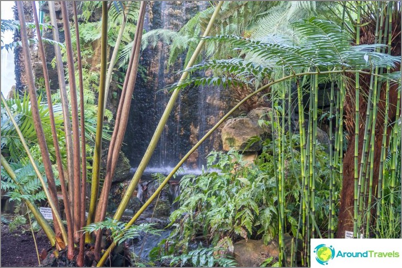 Liberec botaniske have - skønhed i hele vejret