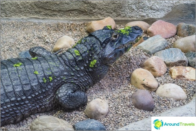 Ogród botaniczny Liberec - piękno na każdą pogodę