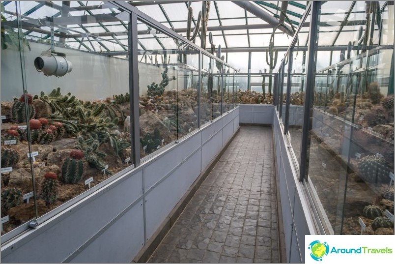 Liberec Botanical Garden - schoonheid voor alle weersomstandigheden