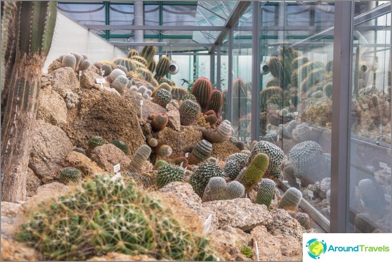 Giardino botanico di Liberec - bellezza per tutte le stagioni