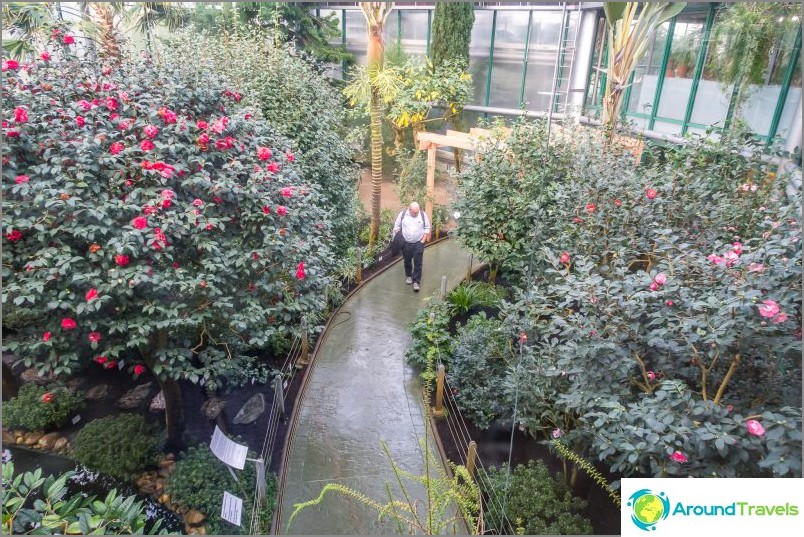 Liberec botaniske have - skønhed i hele vejret