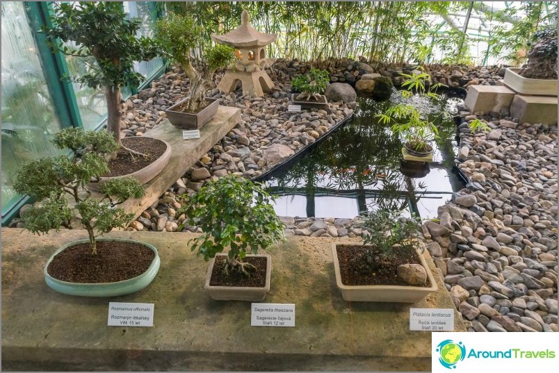 Liberec Botanical Garden - Allwetter-Schönheit