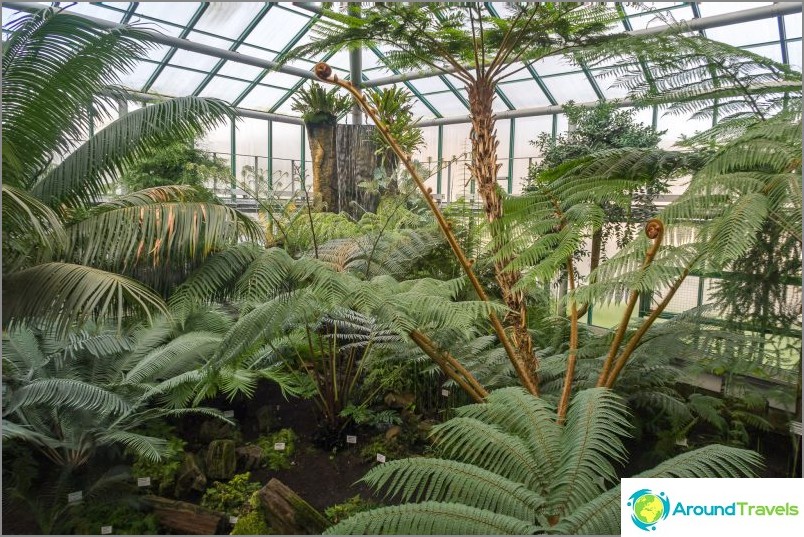 Liberec botaniske have - skønhed i hele vejret