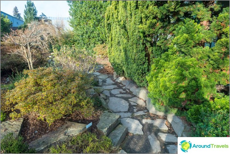 Jardin botanique de Liberec - beauté par tous les temps